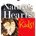 Children's Photography Book Hearts in Nature – Kindle Edition-0