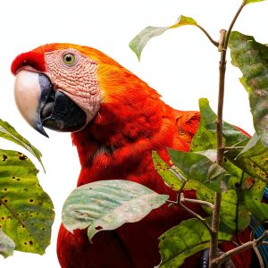 Amazon Kindle Kids Travel Photo Book Latin America Adventure Ages 4-12-0