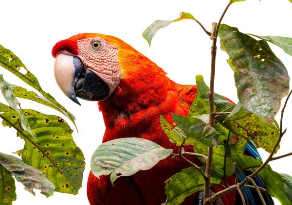 Amazon Kindle Kids Travel Photo Book Latin America Adventure Ages 4-12-0