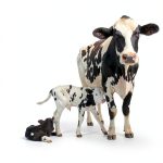 Wordless Picture Book for Kids Animal Farm Kindle Replica Ages 1 to 12-0